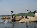 683 671 IMG_2829